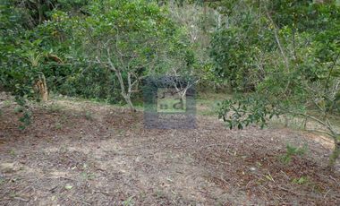 COD. 6028 - SE ARRIENDA CASA CAMPESTRE - BARRIO: VEREDA SANTO DOMINGO