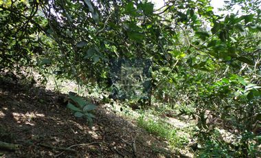 COD. 6028 - SE ARRIENDA CASA CAMPESTRE - BARRIO: VEREDA SANTO DOMINGO