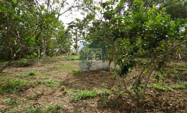 COD. 6028 - SE ARRIENDA CASA CAMPESTRE - BARRIO: VEREDA SANTO DOMINGO