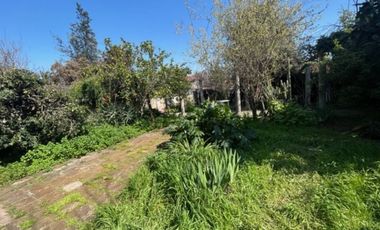 LUIS PEREIRA SIMON BOLIVAR, ECHEÑIQUE