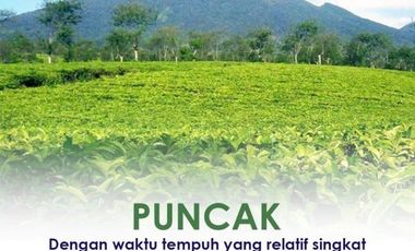 Rumah Villa asri sejuk Hamparan kebun teh dkt PUNCAK BOGOR DI cugenang