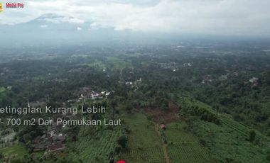 Dijual Tanah Di Cigombong Tugujaya Bogor View Pegunungan - Rp 350 Rb/m2