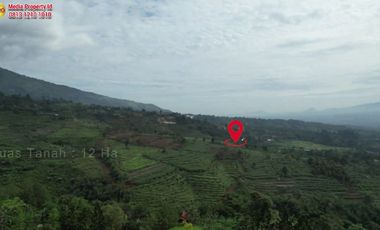 Dijual Tanah Di Cigombong Tugujaya Bogor View Pegunungan - Rp 350 Rb/m2