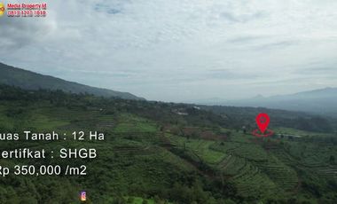 Dijual Tanah Di Cigombong Tugujaya Bogor View Pegunungan - Rp 350 Rb/m2