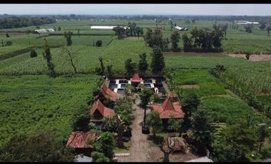 Rumah Joglo Pinggir Jalan Raya Kediri Blitar