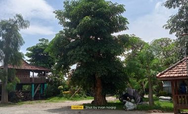 Rumah Joglo Pinggir Jalan Raya Kediri Blitar