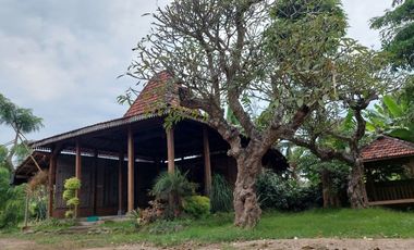 Rumah Joglo Pinggir Jalan Raya Kediri Blitar