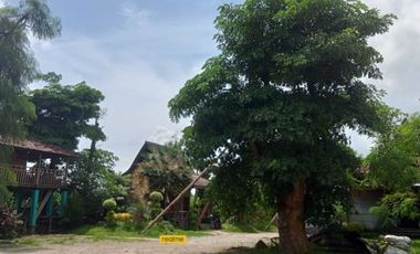 Rumah Joglo Pinggir Jalan Raya Kediri Blitar