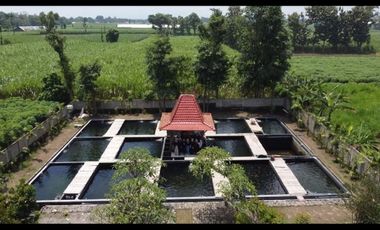 Rumah Joglo Pinggir Jalan Raya Kediri Blitar