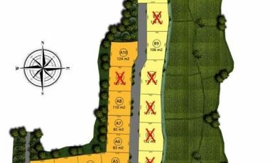 VILLA EKSKLUSIF DI TENGAH KOTA UBUD