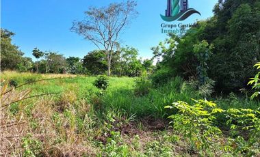 VENDO LOTE DE 3452M2 FRENTE INTERAMERICANA 149M2 BUGABA