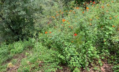 TERRENO EN VENTA EN LA PUNTA BOSQUES DE LAS LOMAS