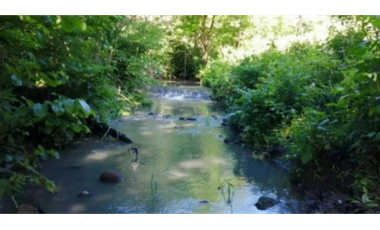Finca en venta de 88,7 HAS en Capira Cermeño (DR)