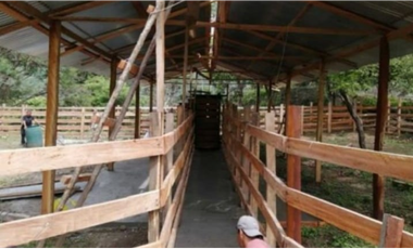 Finca en venta de 88,7 HAS en Capira Cermeño (DR)