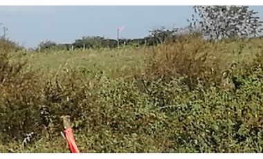 Venta de Terreno en Buenaventura