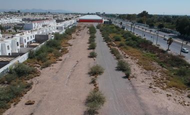 TERRENO EN RENTA EN CARRETERA TORREON - MATAMOROS