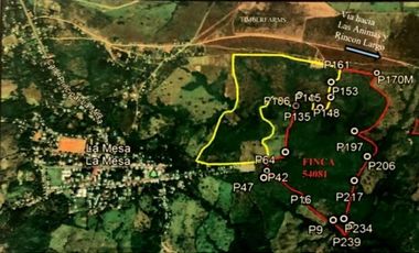 SE VENDE TERRENO EN LA MESA DEL CENTRO 63 HECTAREAS