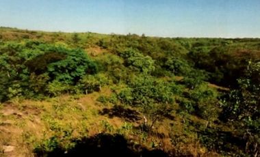 SE VENDE TERRENO EN LA MESA DEL CENTRO 63 HECTAREAS