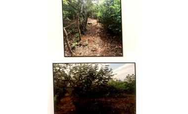 SE VENDE TERRENO EN LA MESA DEL CENTRO 63 HECTAREAS