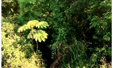 SE VENDE TERRENO EN LA MESA DEL CENTRO 63 HECTAREAS