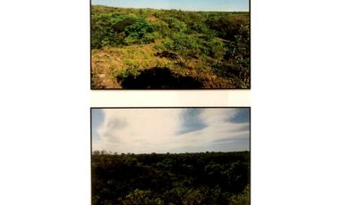 SE VENDE TERRENO EN LA MESA DEL CENTRO 63 HECTAREAS