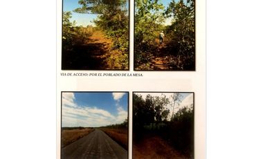 SE VENDE TERRENO EN LA MESA DEL CENTRO 63 HECTAREAS