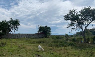 Terreno en Venta en Lago de Chapala, San Juan Tecomatlán, Poncitlán, Jalisco.