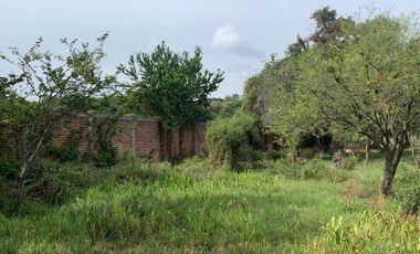 Terreno en Venta en Lago de Chapala, San Juan Tecomatlán, Poncitlán, Jalisco.