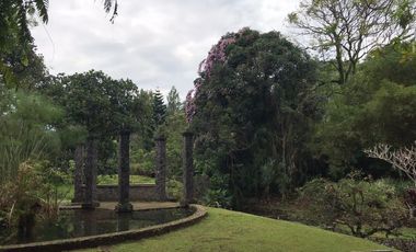 Tanah Murah di Jl Raya Puncak Bogor -View Panorama Alam