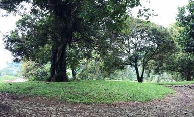 Tanah Murah di Jl Raya Puncak Bogor -View Panorama Alam