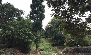 Tanah Murah di Jl Raya Puncak Bogor -View Panorama Alam