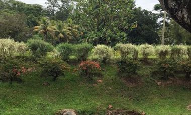 Tanah Murah di Jl Raya Puncak Bogor -View Panorama Alam