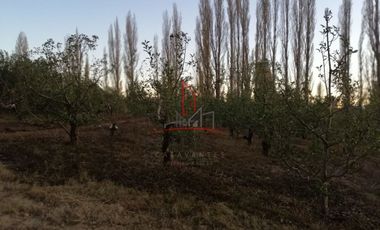 Huerta Venta Guerrero Chihuahua 1,500,000  Indhue RGC