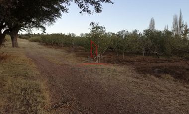 Huerta Venta Guerrero Chihuahua 1,500,000  Indhue RGC