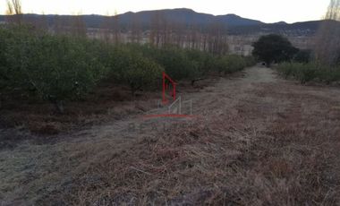 Huerta Venta Guerrero Chihuahua 1,500,000  Indhue RGC