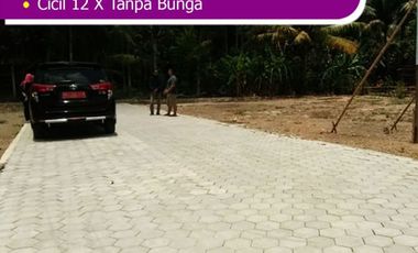 Dekat Kota Kajen, Tanah Kavling SHM Per Unit: 100 Jt-an