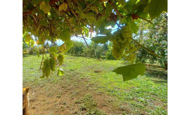 Hermosa Parcela con Casa - Restaurant con ubicación privilegiada.