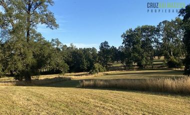 Parcela en Venta en Camino a Tegualda km 15, Fundo Frutillar