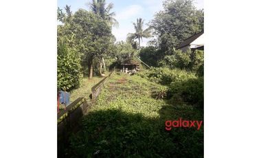 DIJUAL TANAH RAYA KAPAL MENGWI BADUNG, BALI