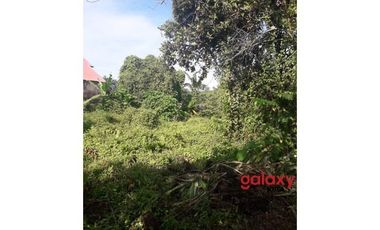 DIJUAL TANAH RAYA KAPAL MENGWI BADUNG, BALI