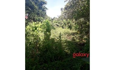 DIJUAL TANAH RAYA KAPAL MENGWI BADUNG, BALI