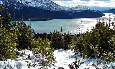 VENTA OPORTUNIDAD : 292,49 Hectáreas increíbles con vista al Lago Gutiérrez Ruta 40 - Bariloche