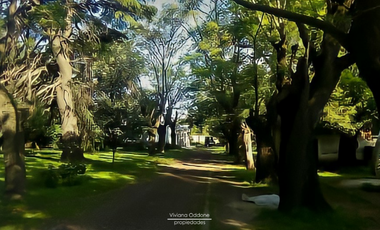 Venta Quinta sobre R21