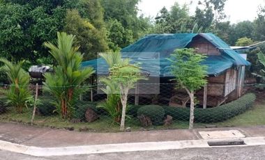 Residential Farm Lot for Sale in Manila East Lakeview Farms Morong Rizal
