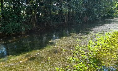 VENDO LOTE DE  2.435.49 METROS EN EL CONDOMINIO LA FLORIDA