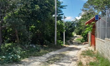 LOTE EN SABANA DE BONDA