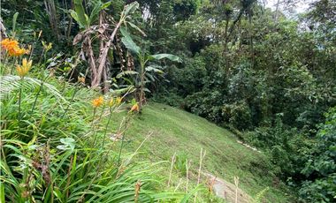 ARRIENDO LOCAL COMERCIAL CAMPESTRE EN CUCHILLA DEL SALADO MANIZALES