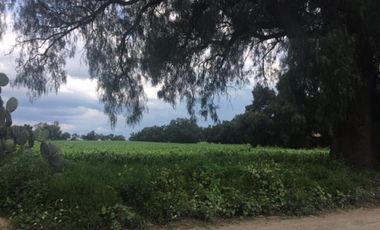 Terreno de 14 hectáreas en venta con granja avicola en Zumpango