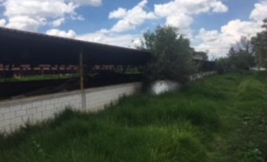 Terreno de 14 hectáreas en venta con granja avicola en Zumpango