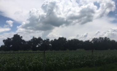 Terreno de 14 hectáreas en venta con granja avicola en Zumpango